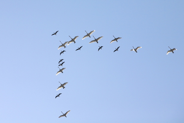 2017年6月の点滴灌漑特別集会