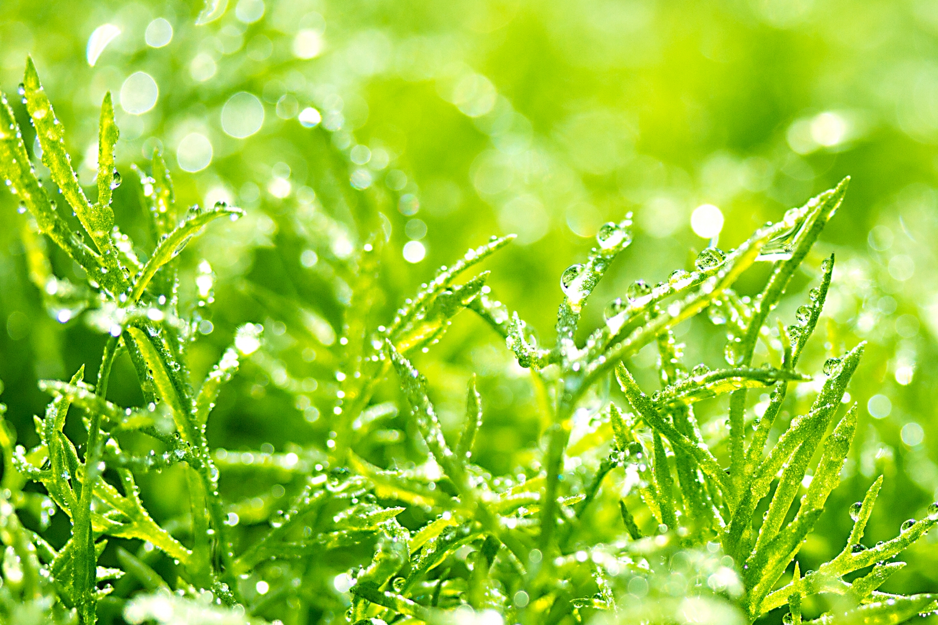 201702 世界情勢と主の行動 第5週